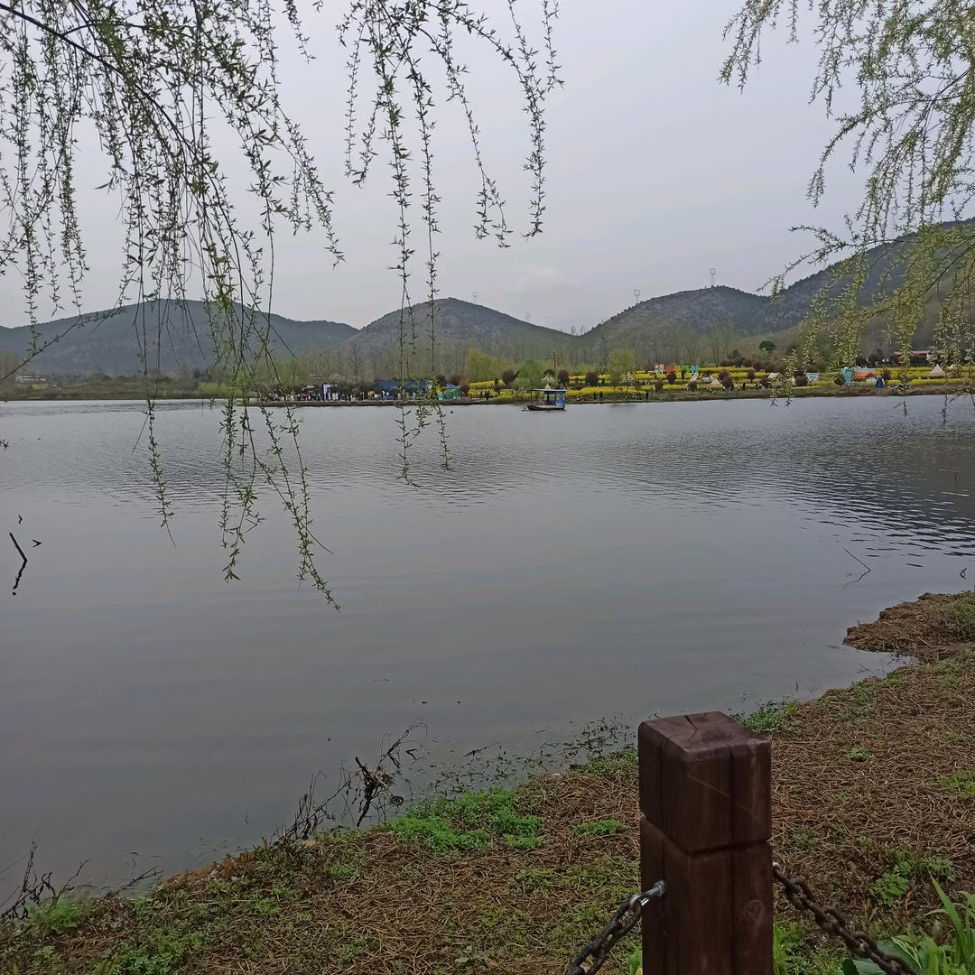 辛甜实果子🍎🍎