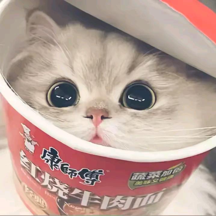 我是帅哥头像