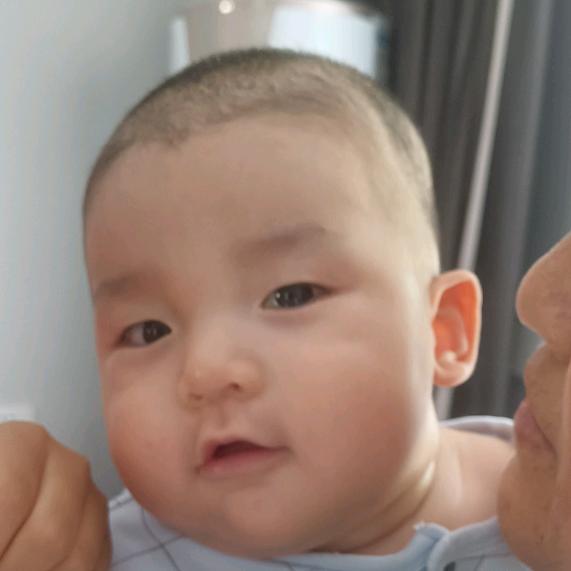 我的如意大人