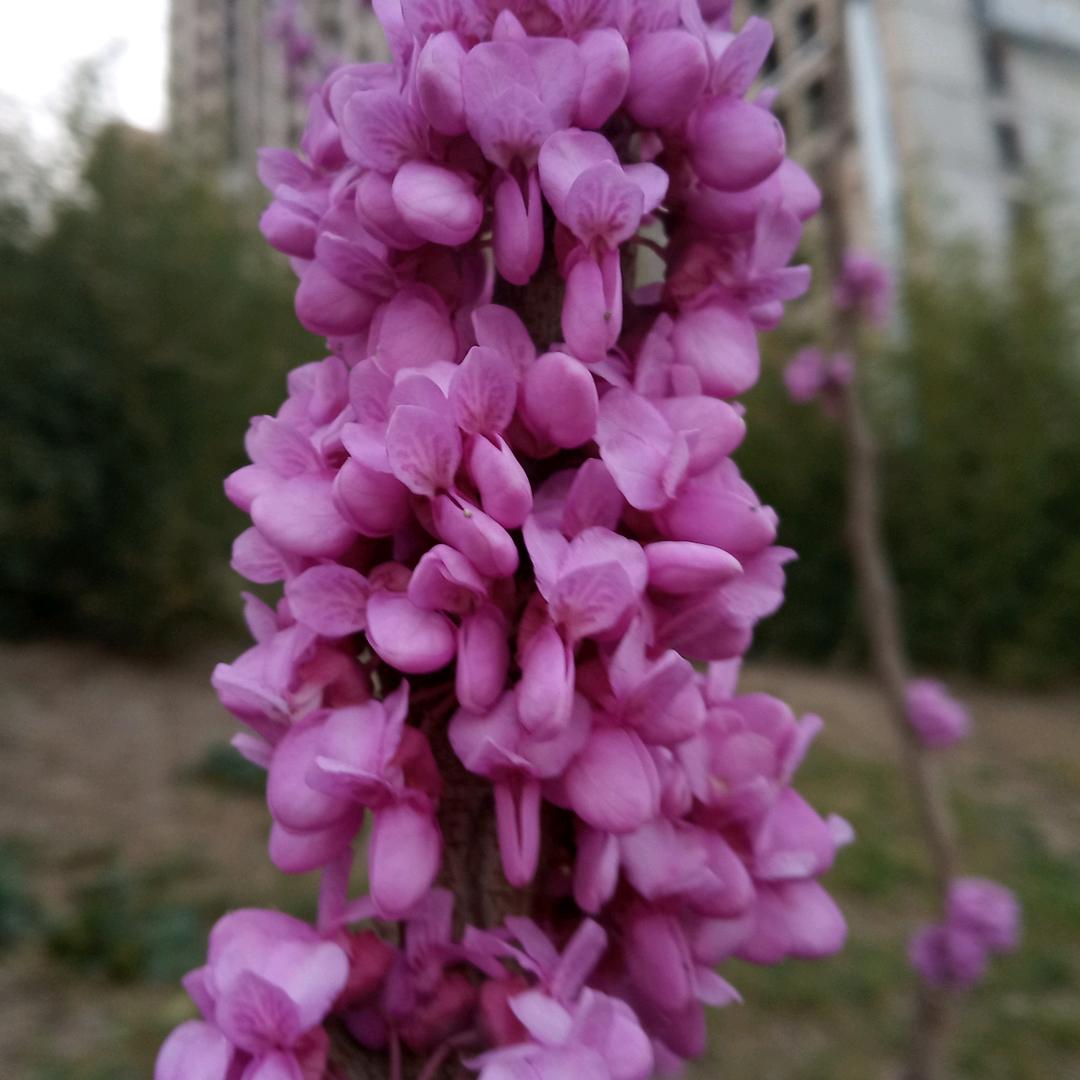 知足常乐