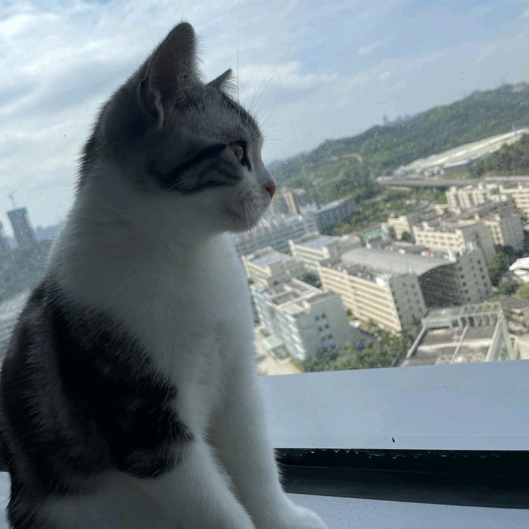 @阿~胜