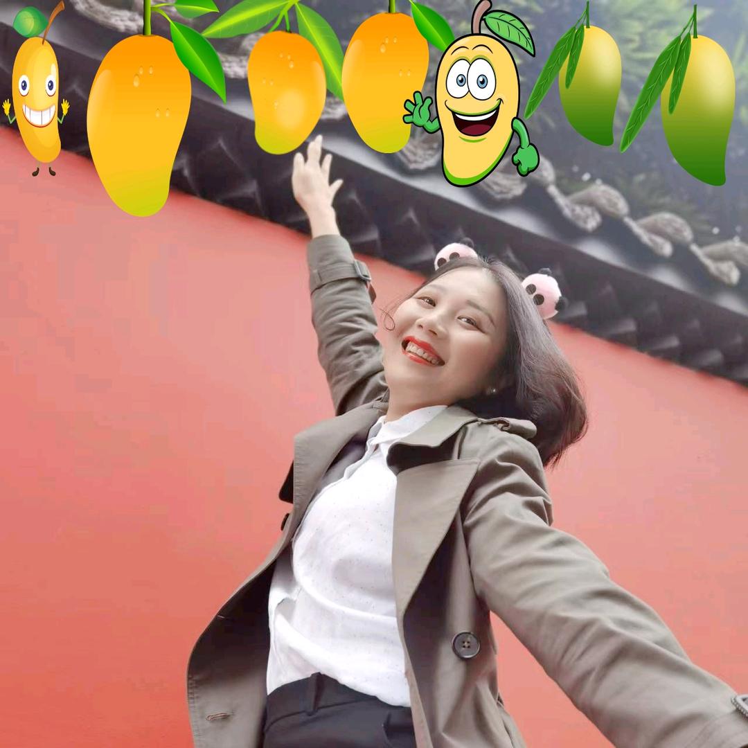 芒果的阅读笔记