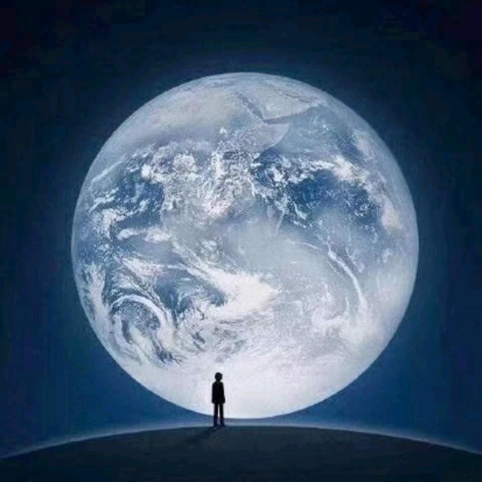 🌴🌲🌳🌴🌲🌳🌴