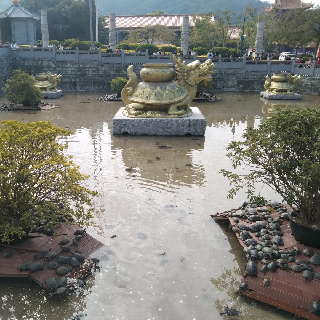 雾空