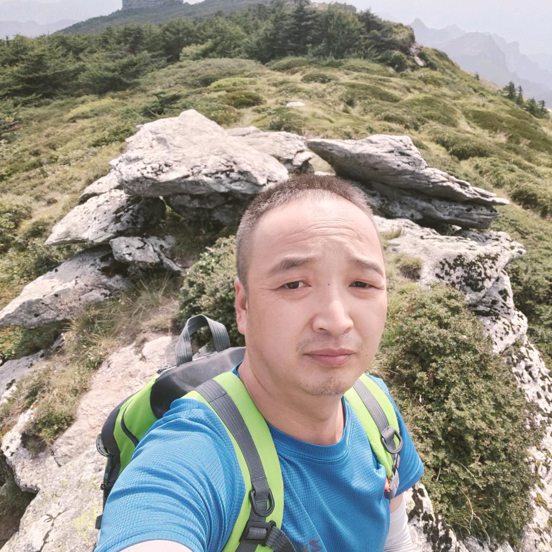 开心马柳