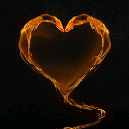 羊羊羊好物臻选ylb123456