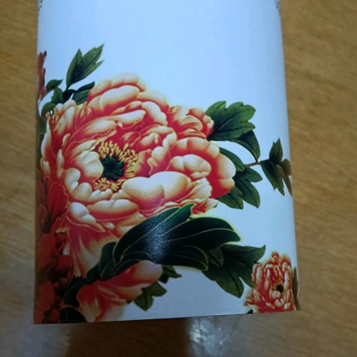 鲨鱼