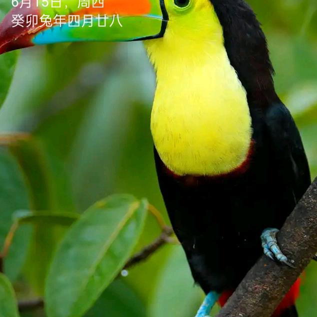 ＿生有爱（8015）