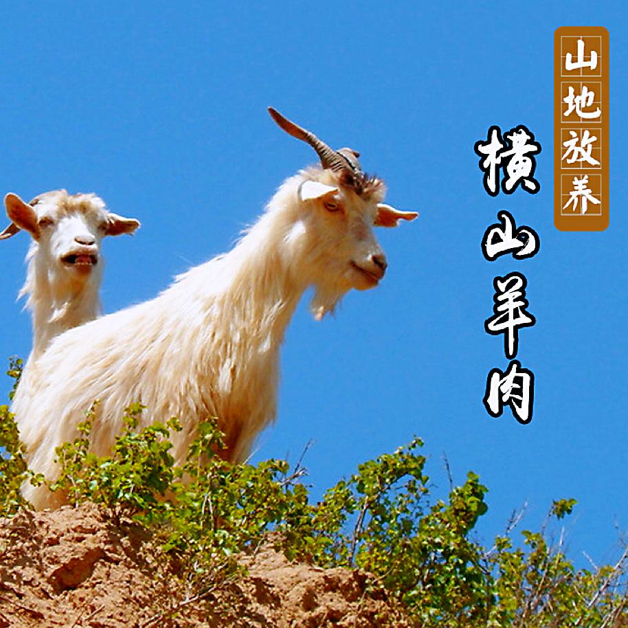 鲜脉多陕北山羊肉