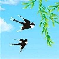做好自己❤️《橱窗好物》