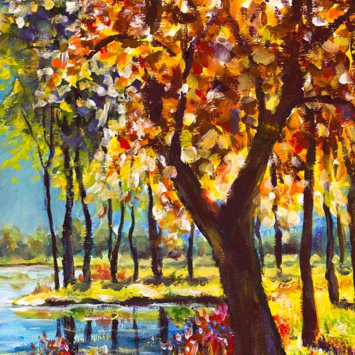 嘉乐民宿 何细圆