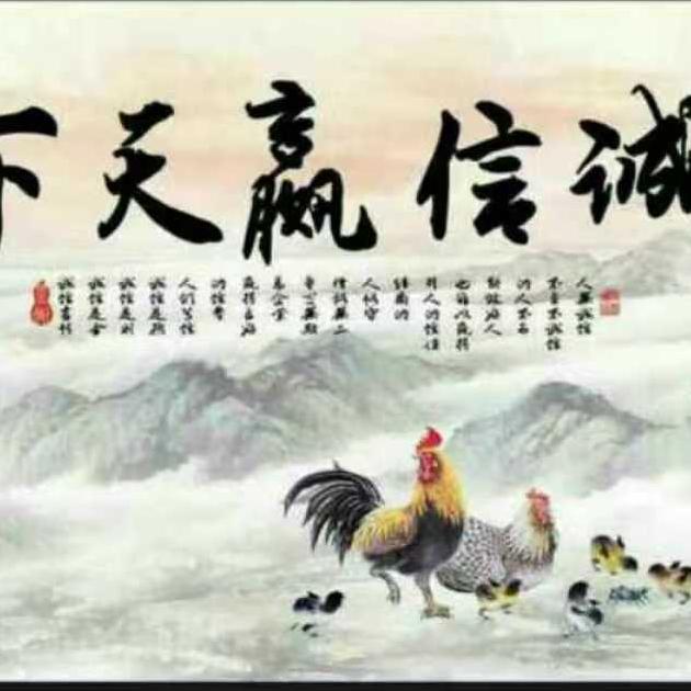 琴姐-王家炒鸡店