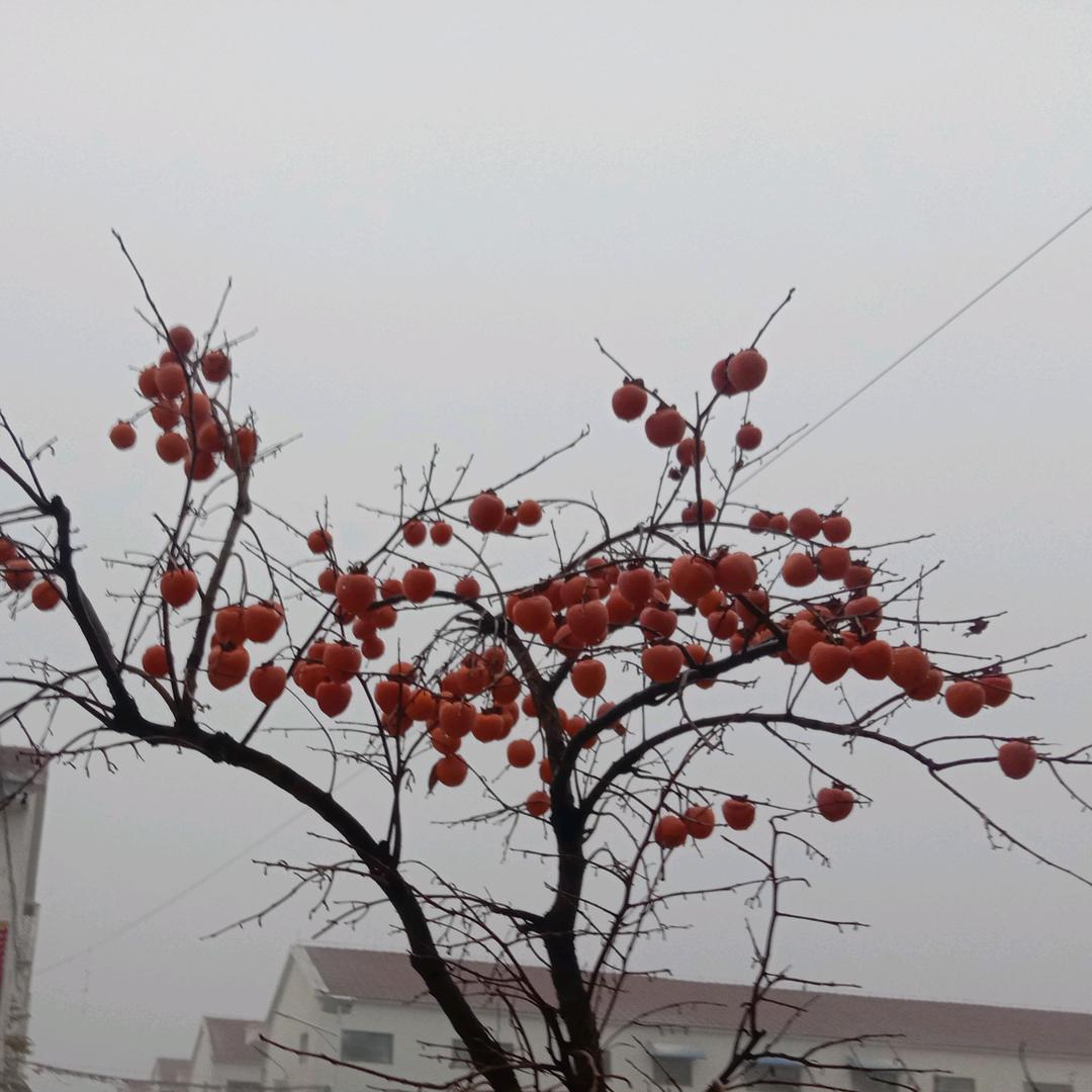 转身潇洒