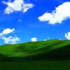 老吴