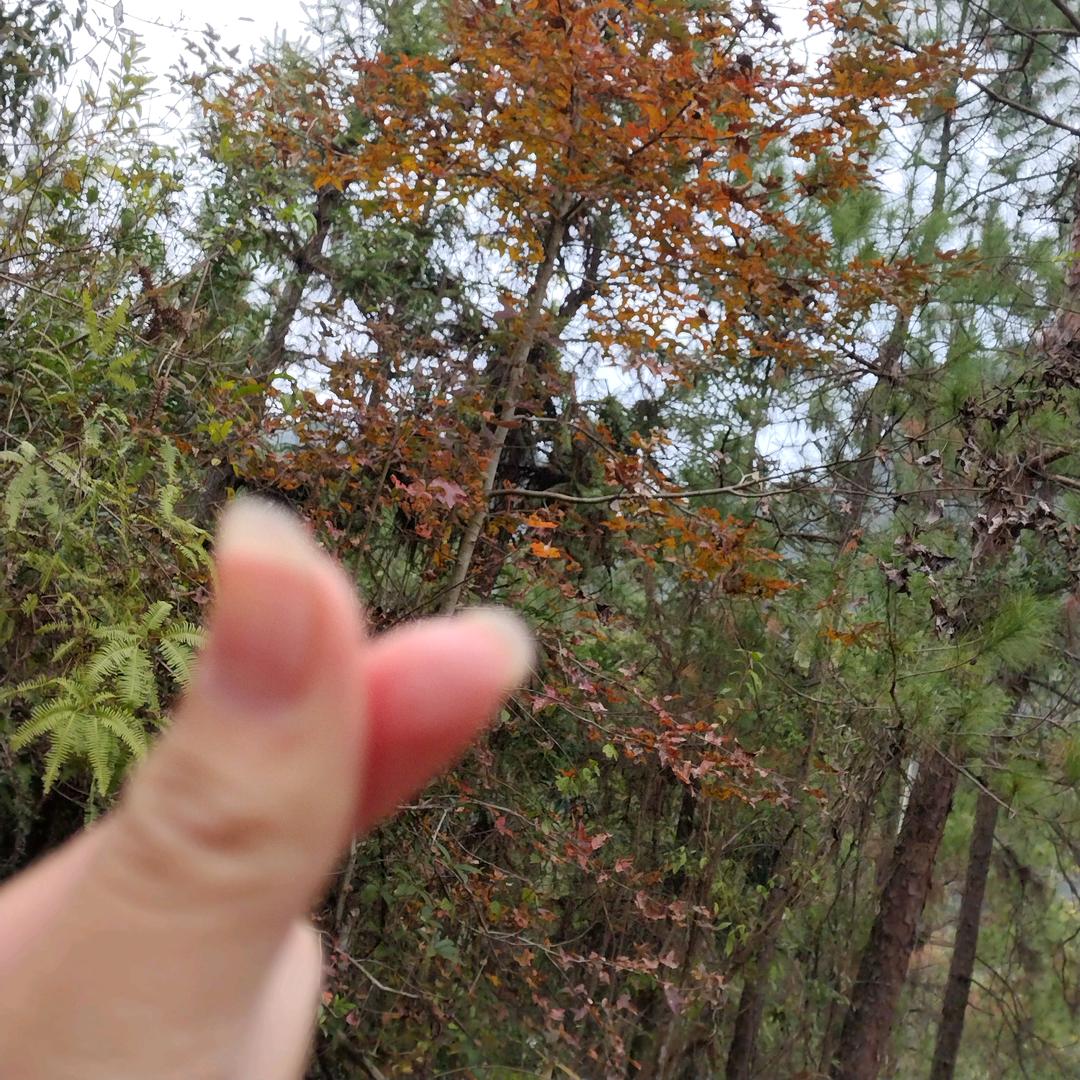 ໑ຼₒ₂₃ღ᭄一路生花🕊꧔ꦿ᭄?🐑