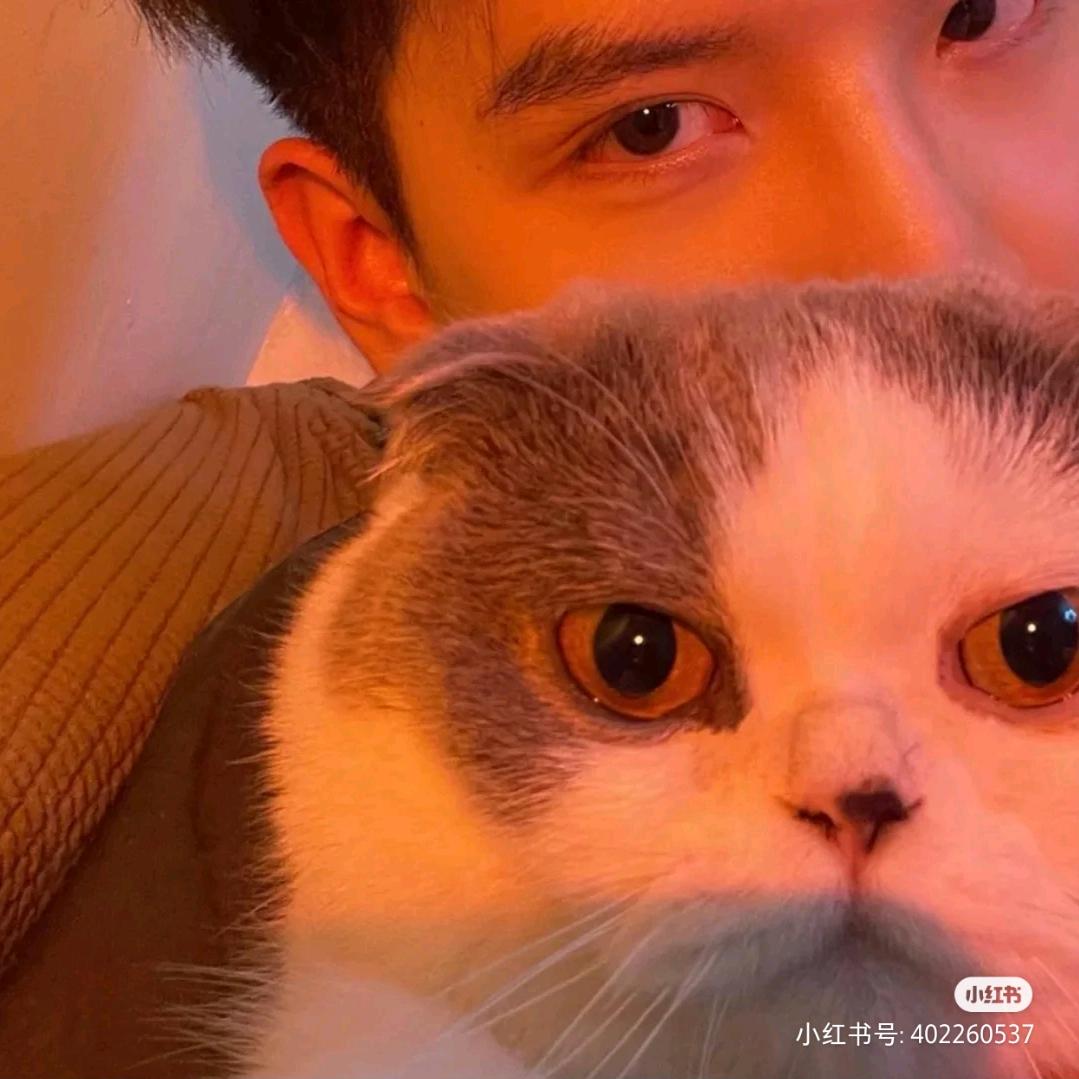 茄子怎么卖