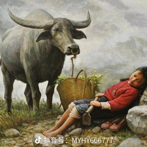善待自己Dy