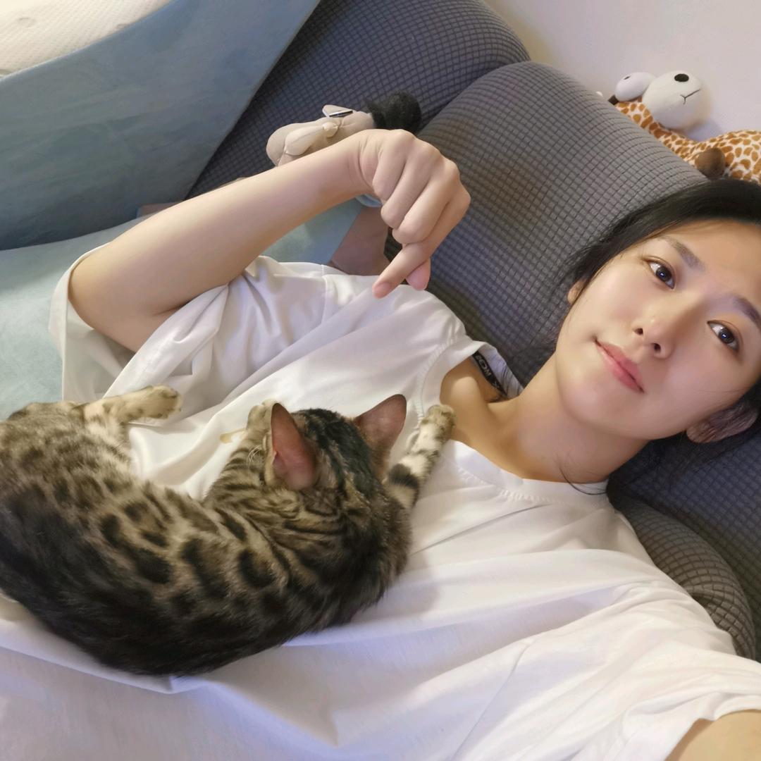 三毛环球流浪记