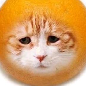 苏西xixixi（发💰版）