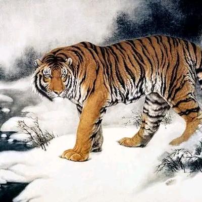 北斗星 虎虎生威