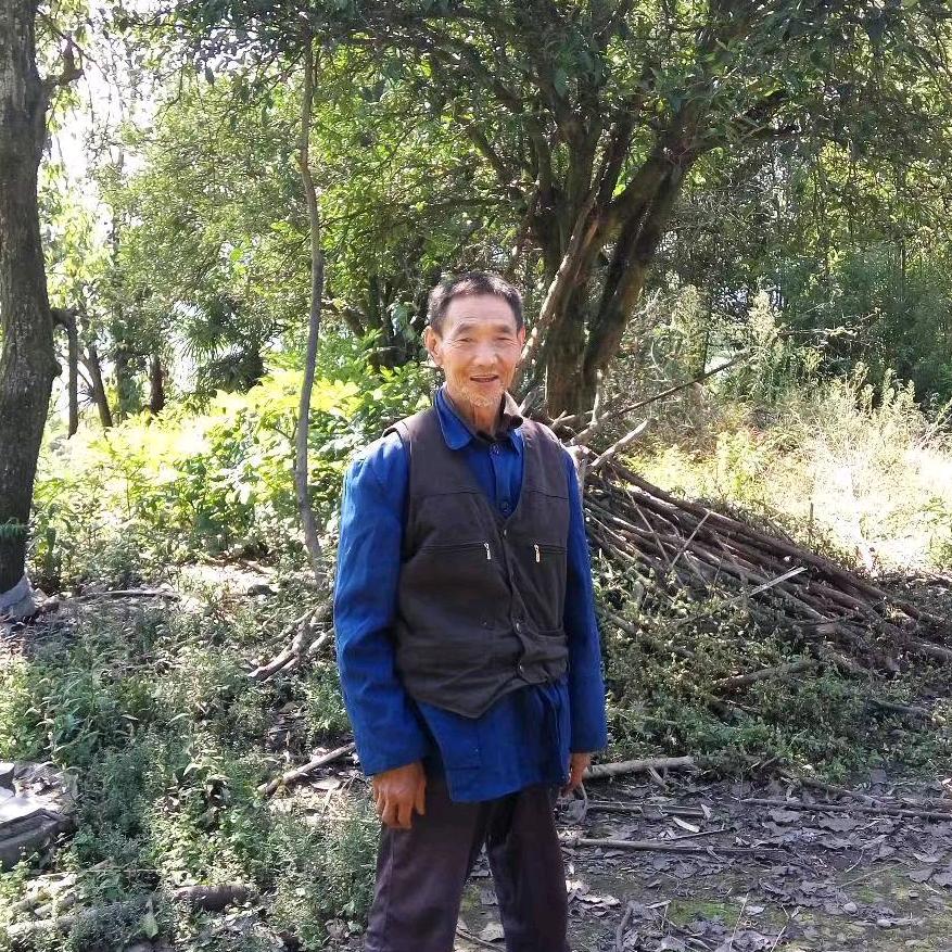 用户8569754876760