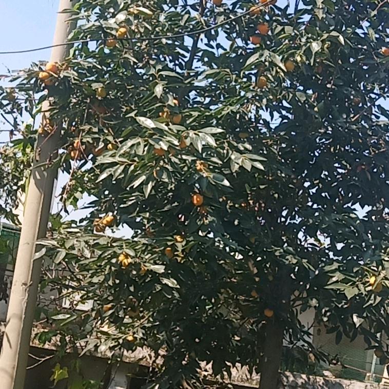 荣盛汽配厂家直营连锁店