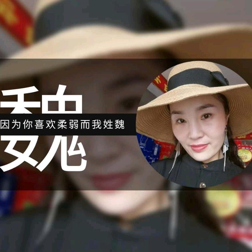 项城 文明路南路 麦德隆超市 魏会