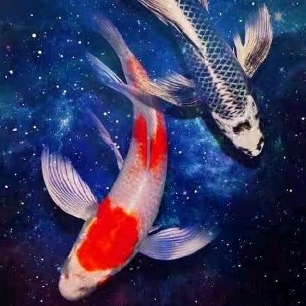 《锁爱一生》