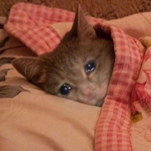 我不@我的好兄弟自会体会