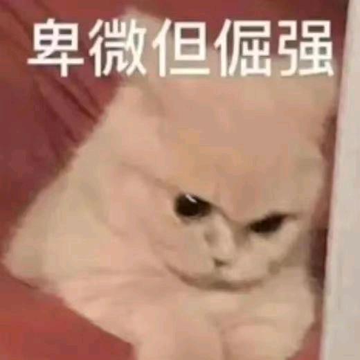 哎呀妈呀