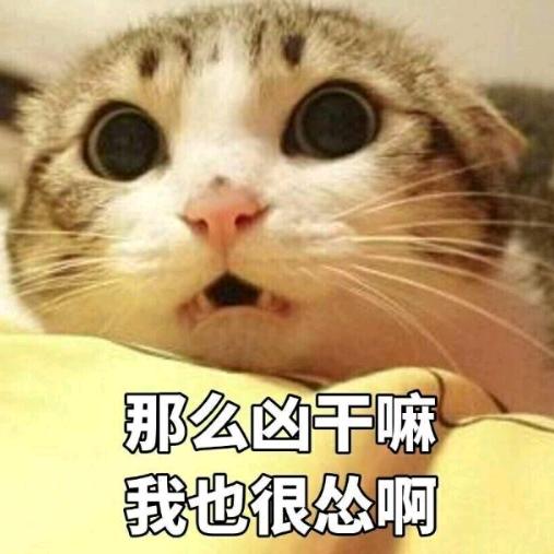 怡昂杨陌忆me