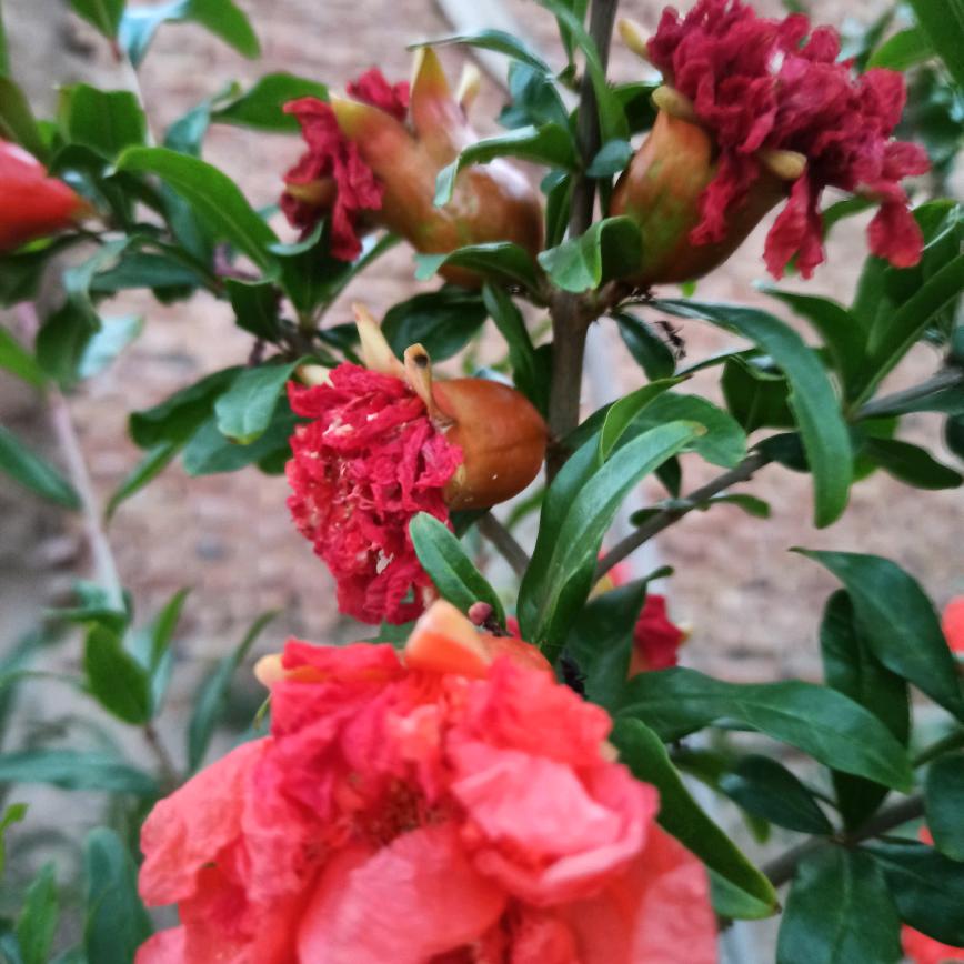 💰💰钱好多💰💰