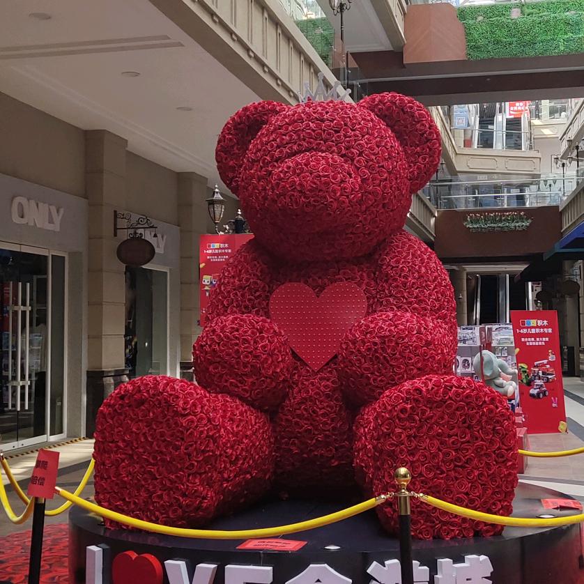 你见过我的小🐻吗？