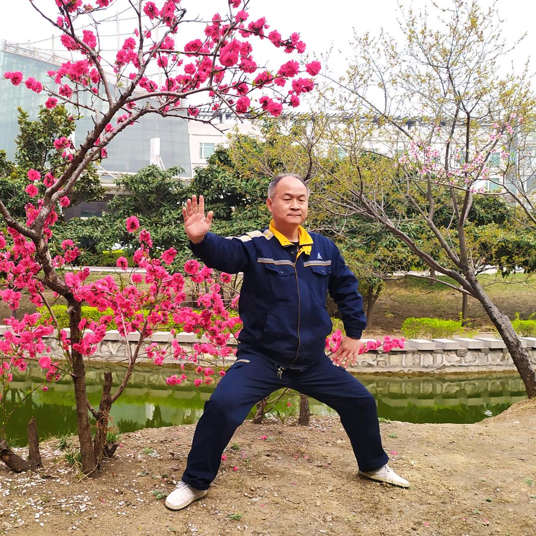 太极拳述真