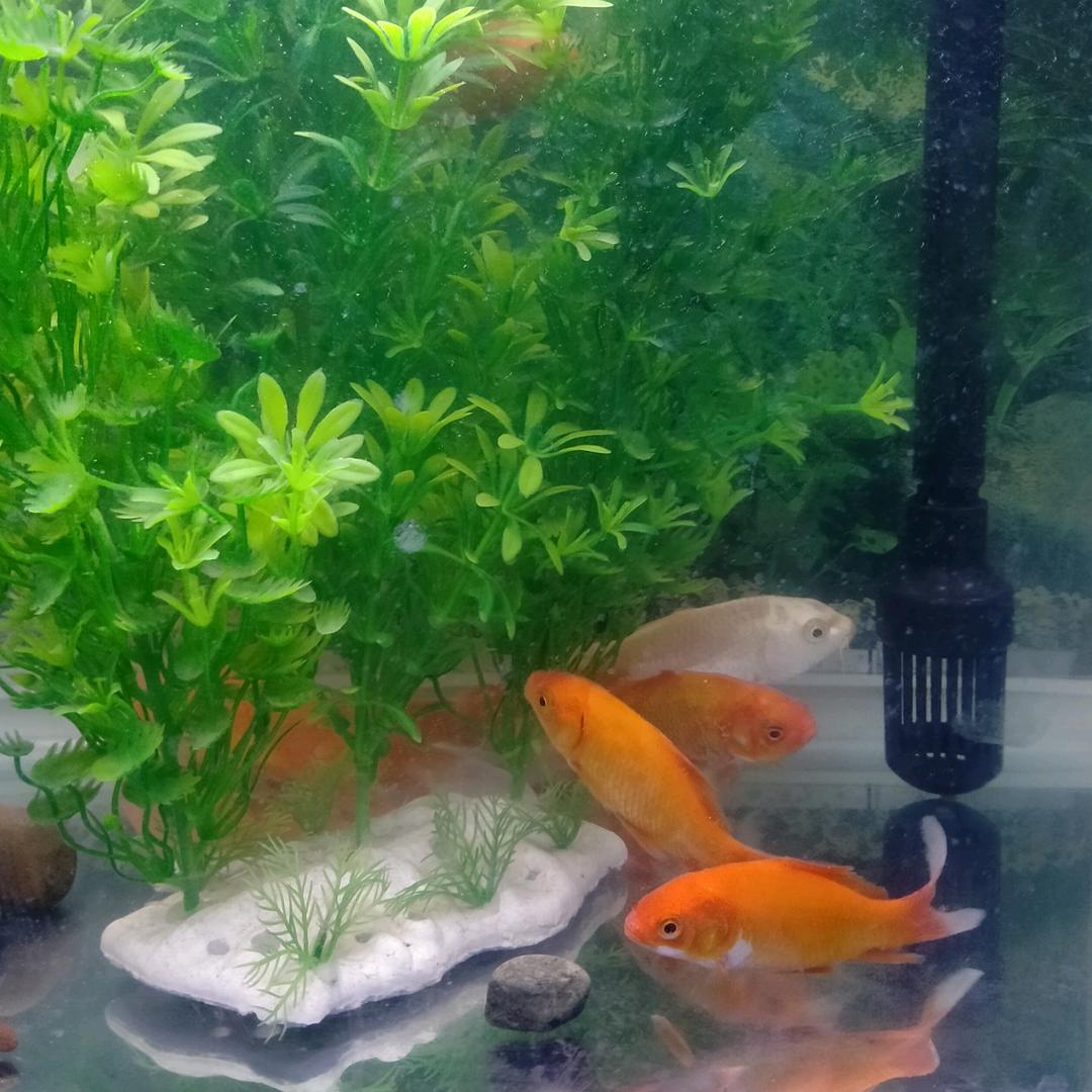 明天更美好