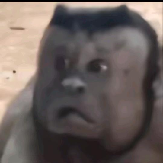1.7
