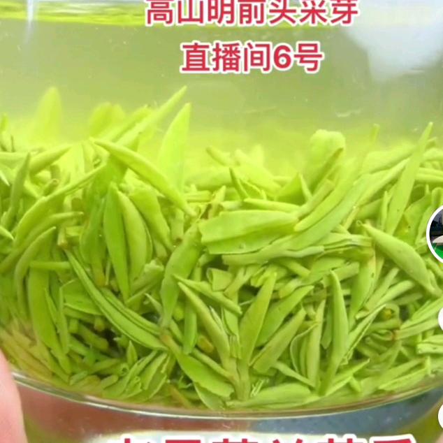 豫南信阳毛尖