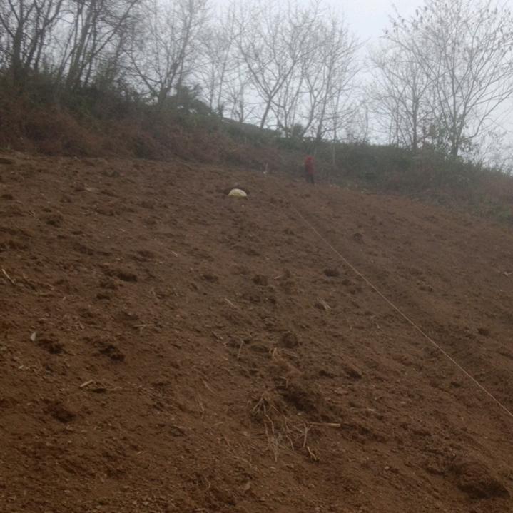 姚单身真心对人