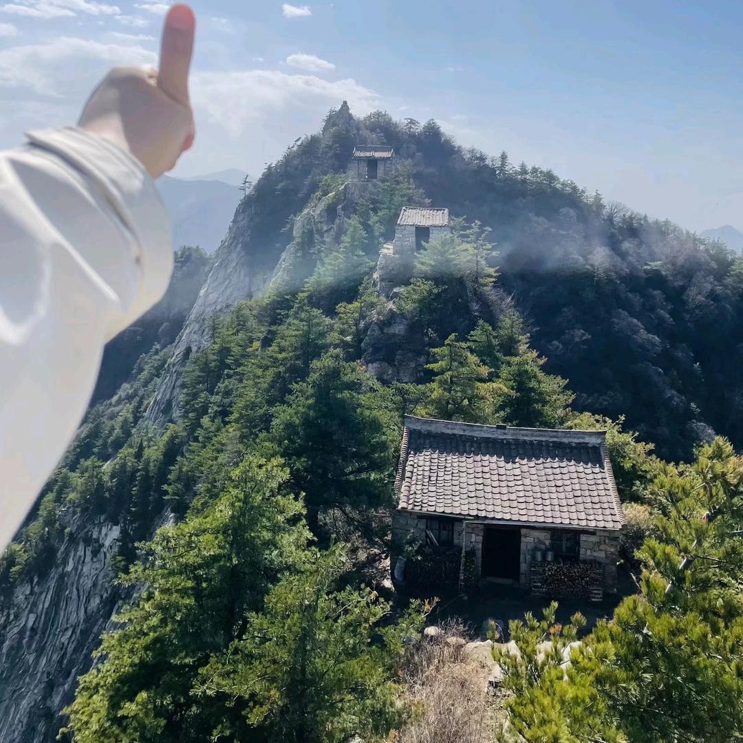 ༂马铃薯找小土豆༂