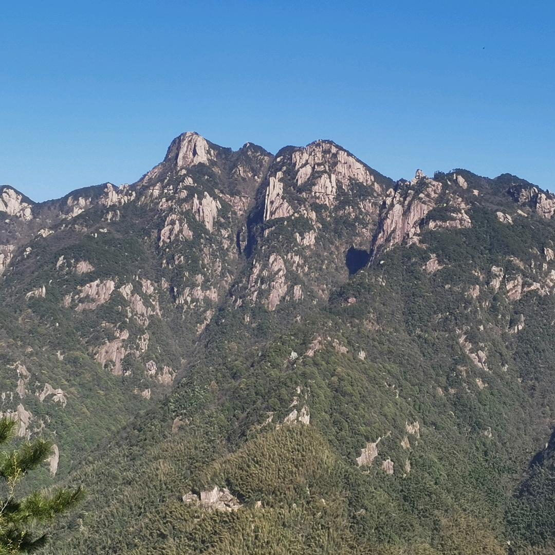 ，老沈