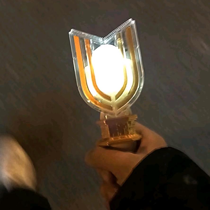 胡庚辛