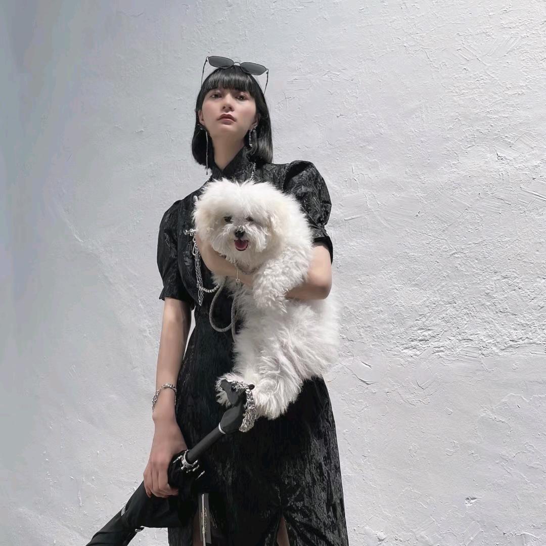 星子ZISSTAR