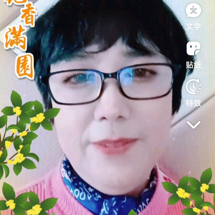 凤姐