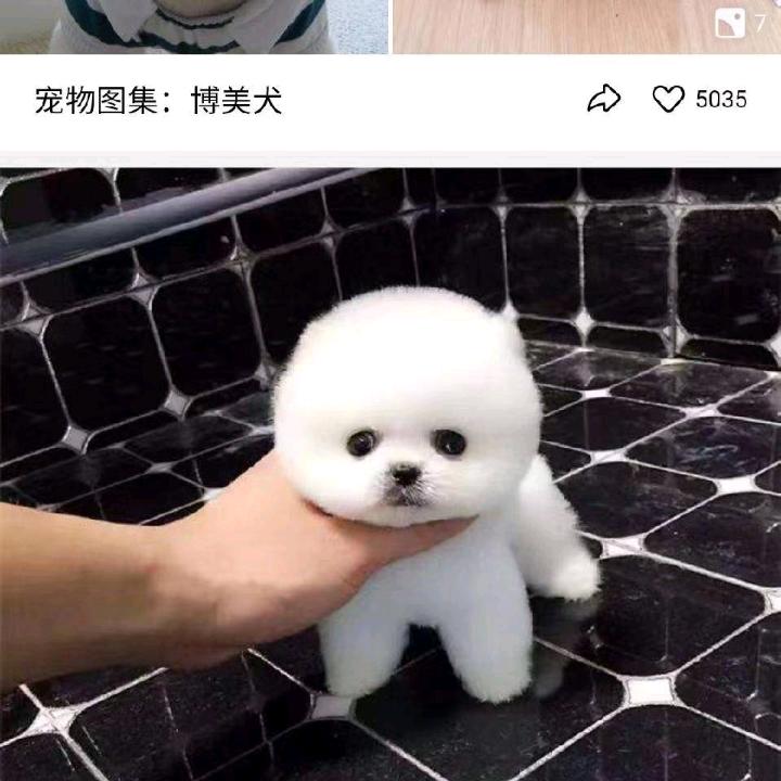艳艳