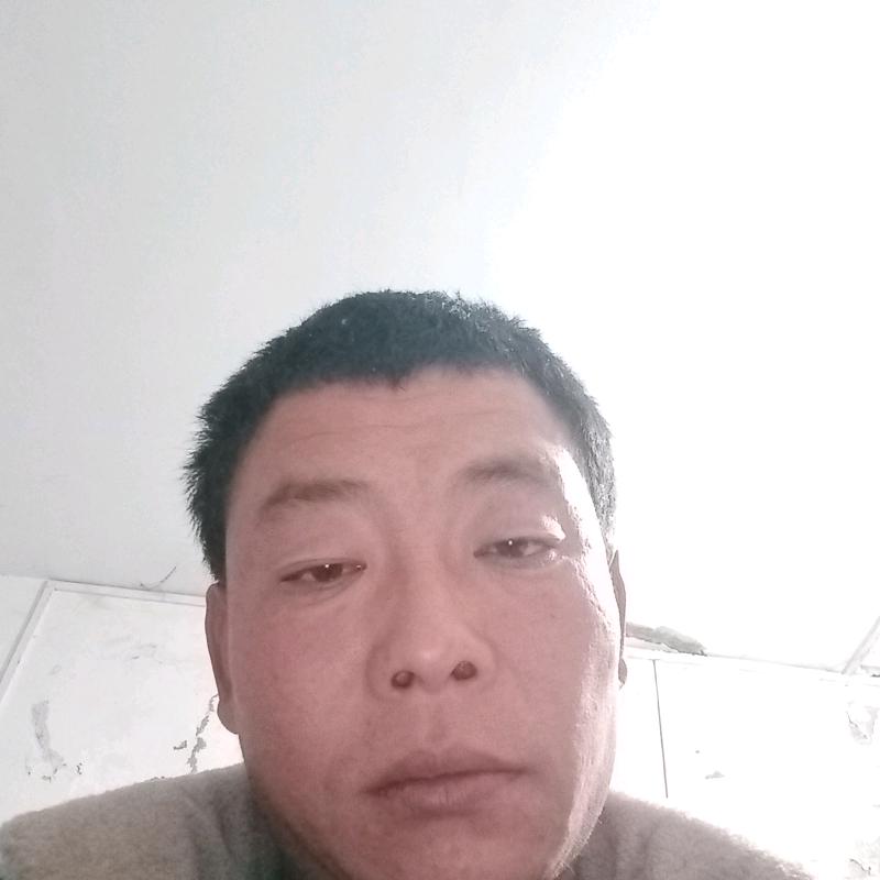 霸气的喵喵。