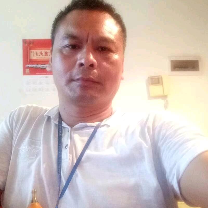 飞歌吹游