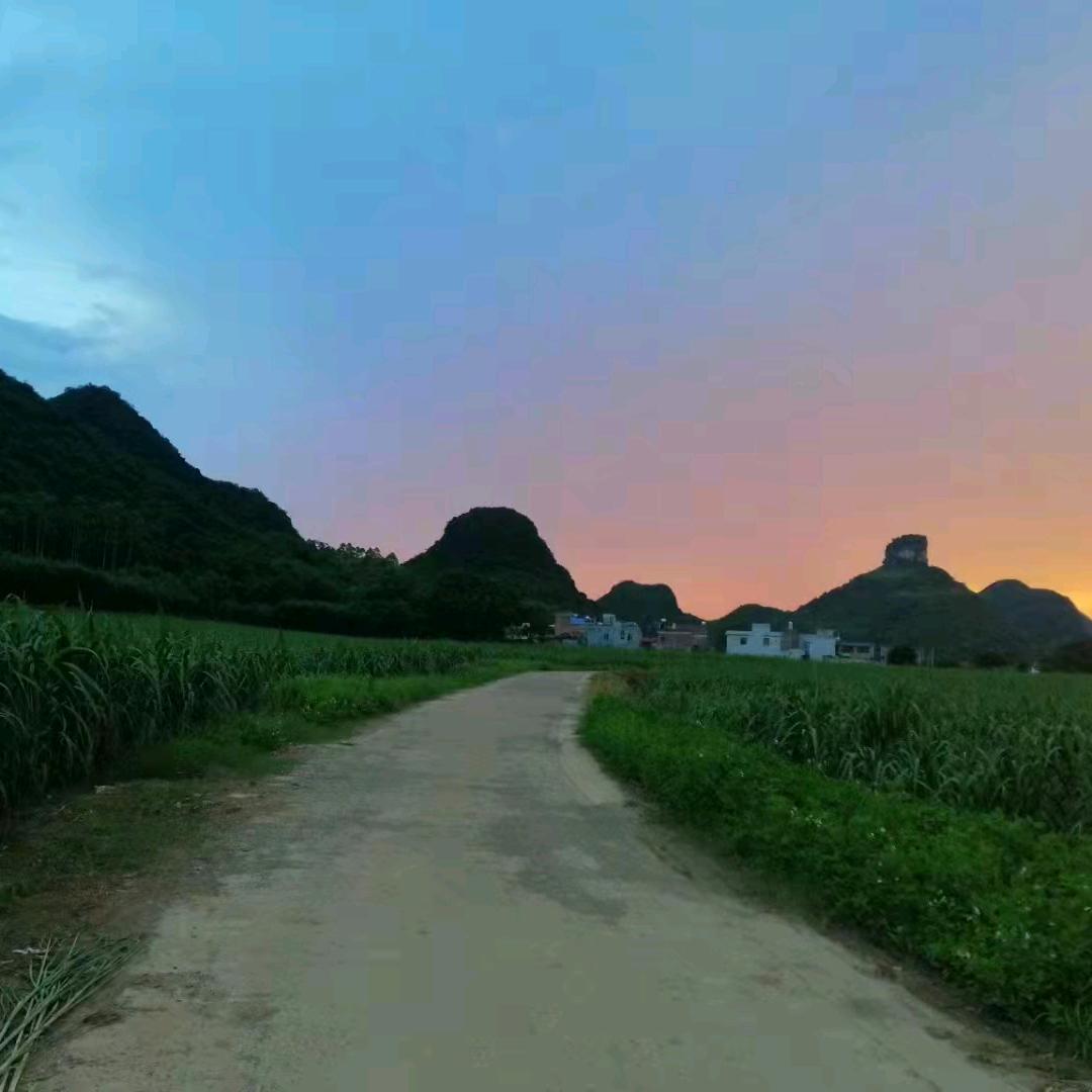 玲姐