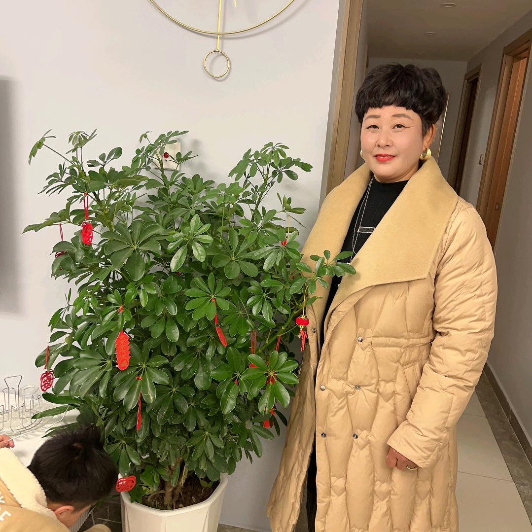 幸福就是心情好🌹😃🌲