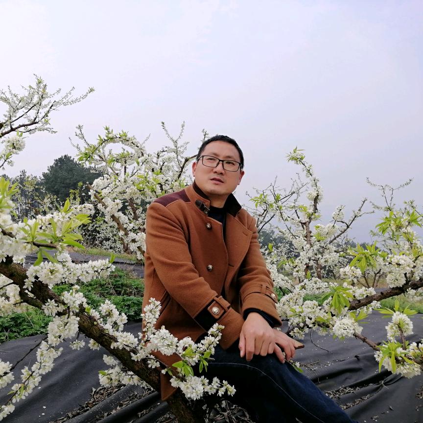 单走剑锋(黄奎)