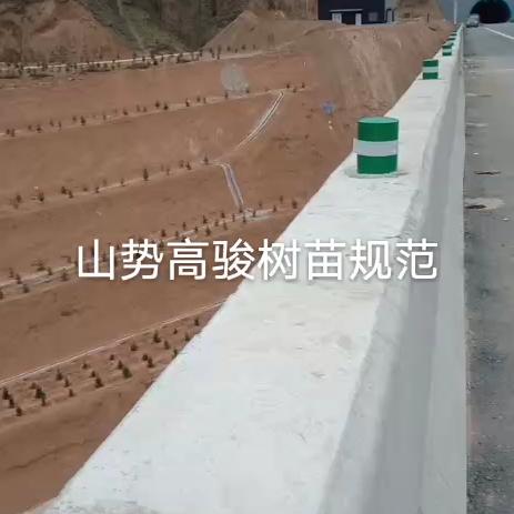 清风